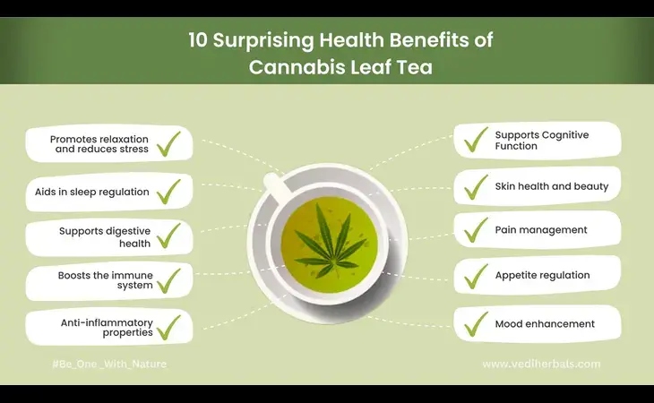 Cannabis_Leaf_Tea_Benefits_1024x1024-(1)-(1).webp